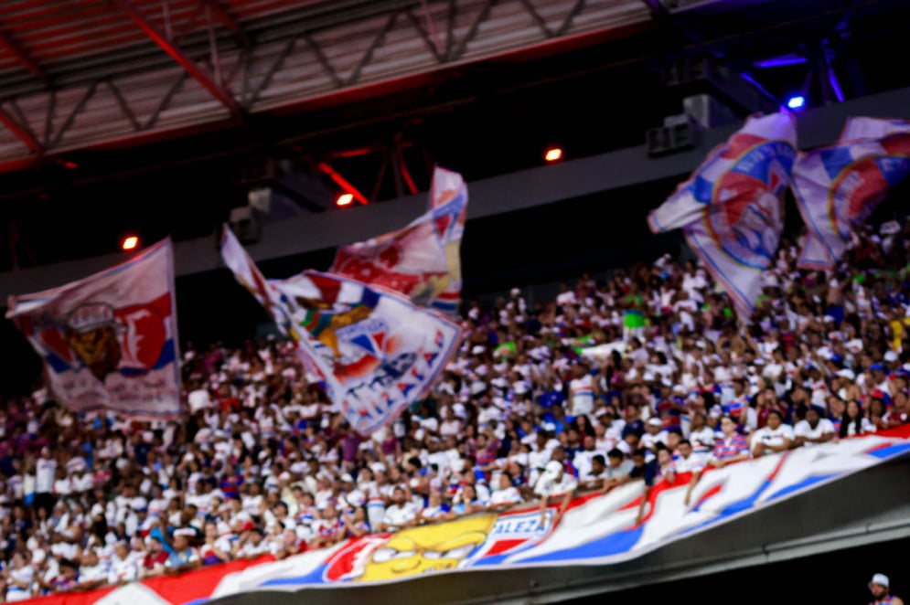 Torcida do Leão tem média abaixo de 30 mil torcedores
 (Foto: AURÉLIO ALVES)