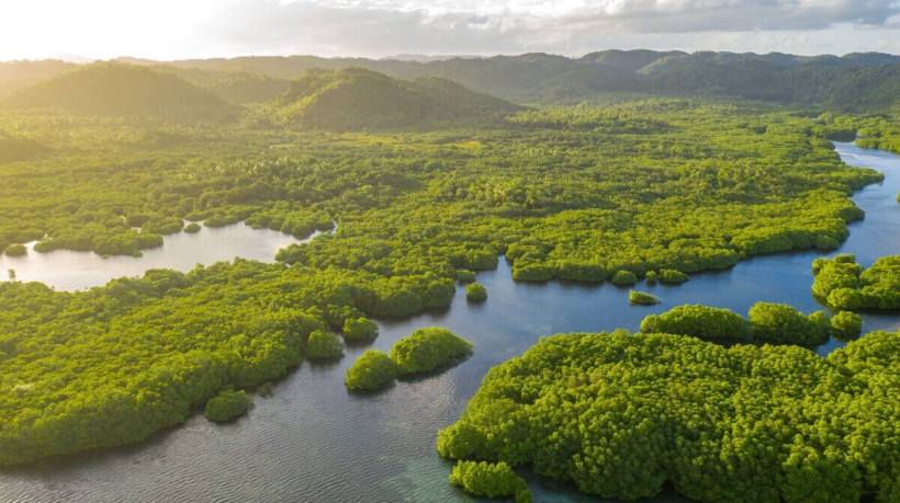 A Amazônia atrai os turistas por suas paisagens deslumbrantes e riqueza cultural (Imagem: Valentin Ayupov | Shutterstock)