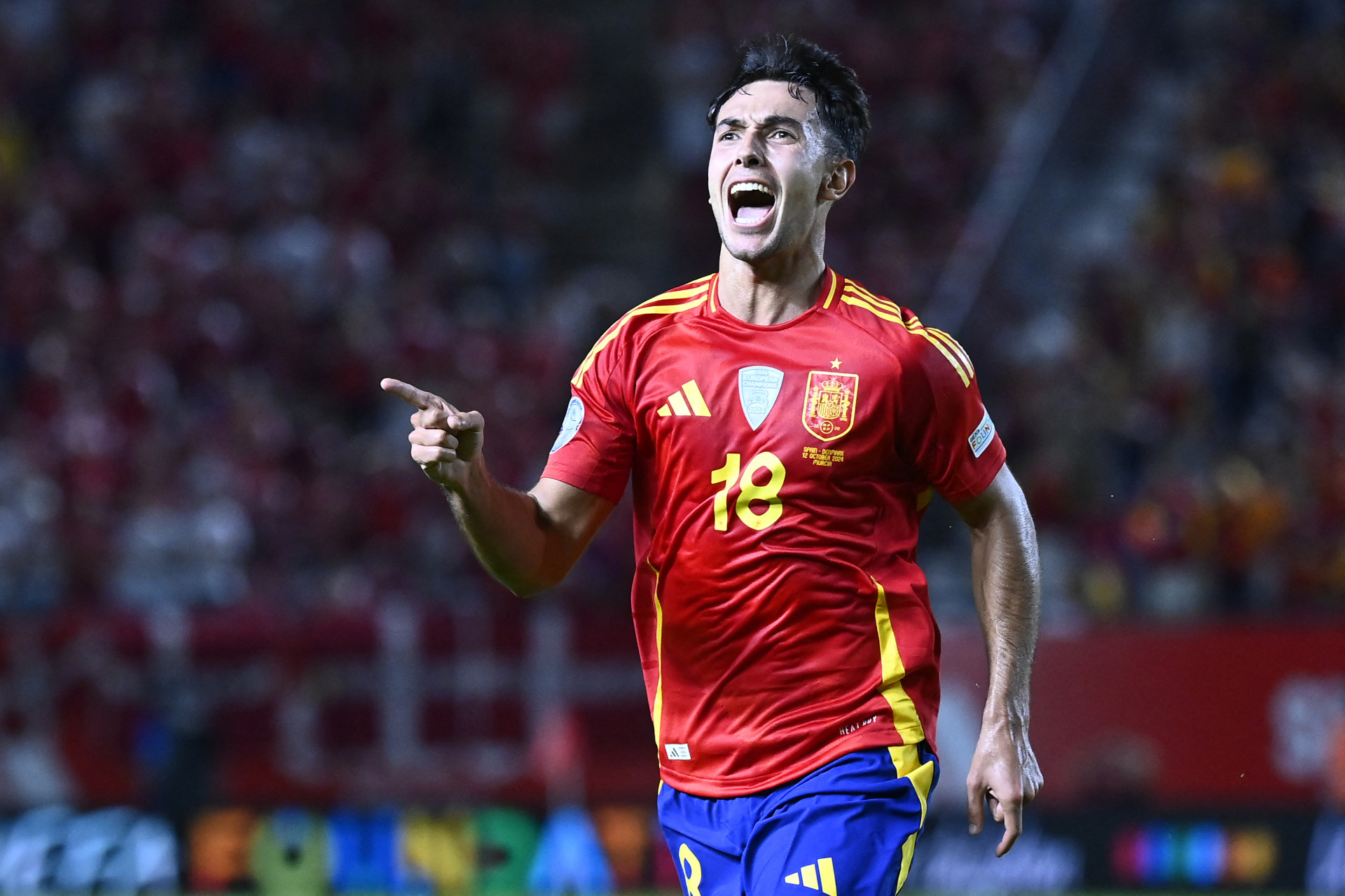 Martin Zubimendi comemora gol contra Dinamarca  (Foto: JOSE JORDAN / AFP)