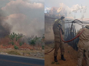 Incêndio atingiu localidade em Limoeiro do Norte, município cearense 