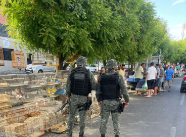 O resgate aconteceu por meio do Batalhão de Polícia Militar Ambiental (BPMA), da Polícia Militar do Ceará (PMCE)
 