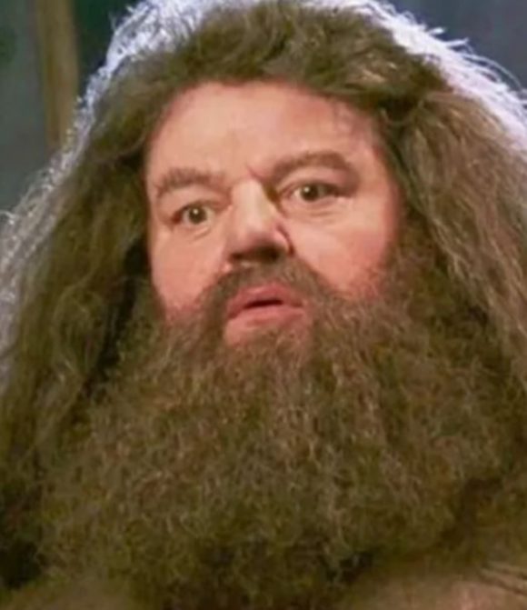 Há 2 anos, em 14/10/2022, o ator Robbie Coltrane morreu deixando saudade para os fãs do grandalhão Rubéo Hagrid. O guardião de Hogwarts é um dos personagens mais importantes e mais queridos da saga literária que também fez sucesso no cinema. Robbie tinha 72 anos. 