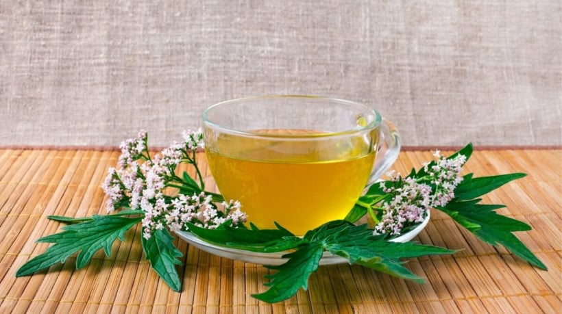 O chá de valeriana aumenta o bem-estar físico e mental (Imagem: Snowbelle | Shutterstock)