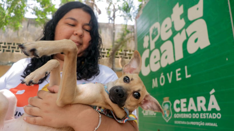 FORTALEZA, CEARÁ, BRASIL, 19-10-2024: A Secretaria de Meio Ambiente da Universidade Federal do Ceará (SMA-UFC) realiza, em parceria com a Secretaria de Proteção Animal do Governo do Estado do Ceará (SEPA), uma ação de castração de animais dos campi do Pici, Benfica e Porangabuçu. Na imagem, a cachorrinha Taty Girl segue aguardando para ser adotada