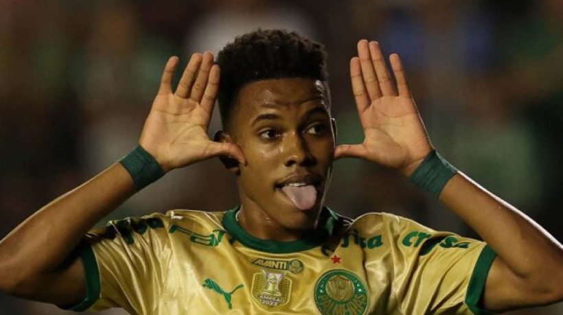 O jogador Estêvão, da SE Palmeiras, comemora seu gol contra a equipe do EC Juventude, durante partida válida pela trigésima rodada, do Campeonato Brasileiro, Série A, no Estádio Alfredo Jaconi. (Foto: Cesar Greco/Palmeiras/by Canon) 