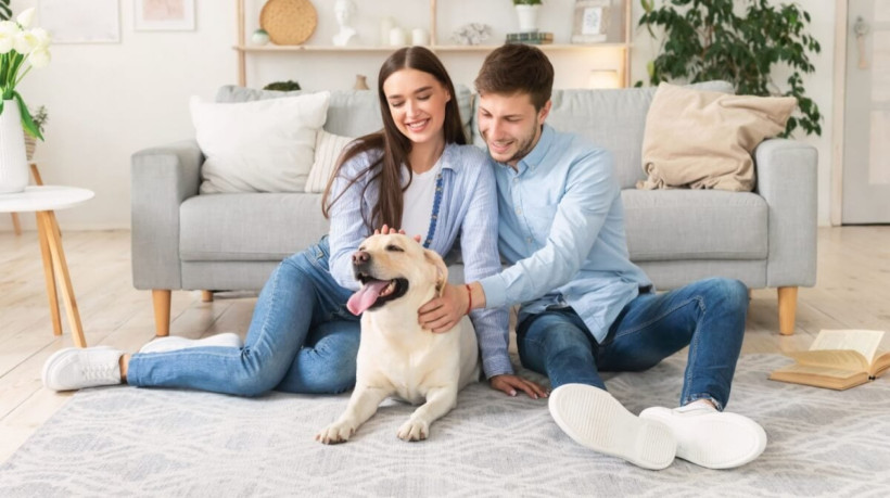 As características de alguns cães são ideais para tutores de primeira viagem (Imagem: Prostock-studio | Shutterstock)