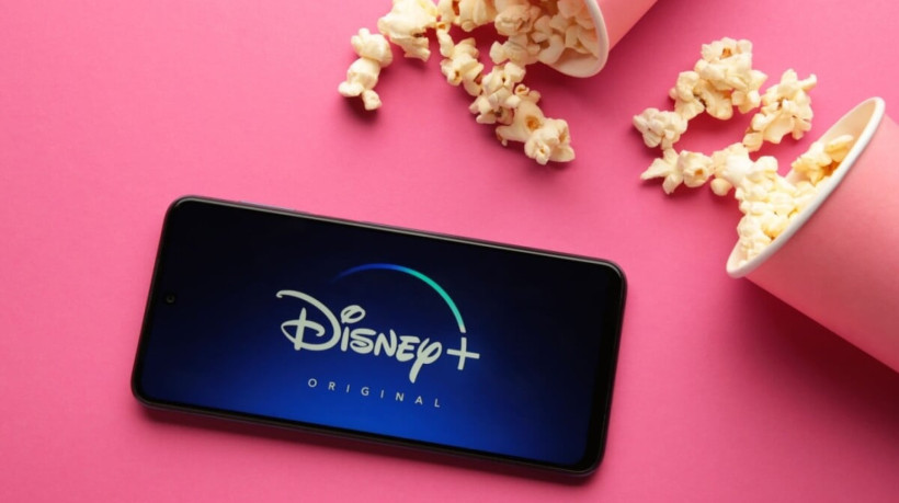 Novembro reserva grandes produções no Disney+ (Imagem: Mouse Family | Shutterstock)