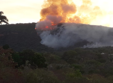 Incêndio na Floresta Nacional do Araripe é controlado após 50 horas de combate 