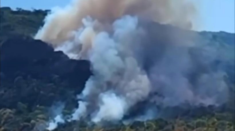 A área do incêndio seria próxima ao local de ocorrência do Soldadinho do Araripe, ave endêmica da região da Chapada
