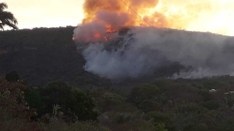 Incêndio na Floresta Nacional do Araripe é controlado após 50 horas de combate