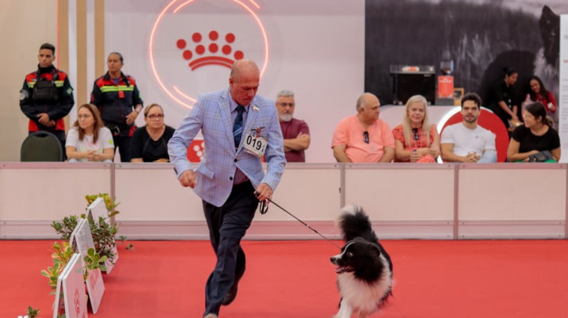 Pela 1ª vez no Brasil, Fortaleza recebe exposição classificatória para a maior competição de cães de raça raras do mundo no Centro de Eventos 