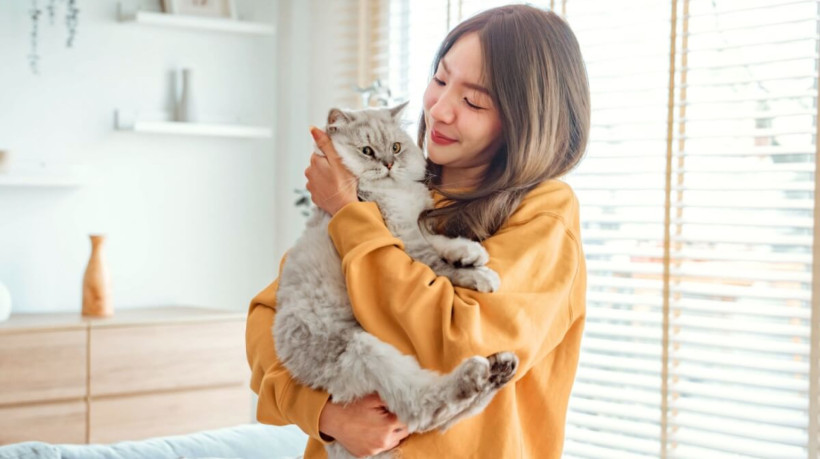 Ter um gato é abrir espaço para momentos de carinho e alegria, com uma companhia única e tranquila para o lar (Imagem: oatawa | Shutterstock)