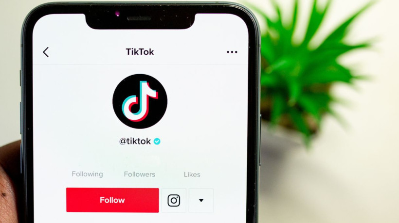 A Autoridade Nacional de Proteção de Dados (ANPD)  é o orgão que está por trás do banimento do Tiktok no Brasil