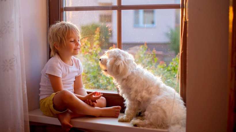 Os cães são ótimos companheiros para as crianças (Imagem: Tomsickova Tatyana | Shutterstock) 