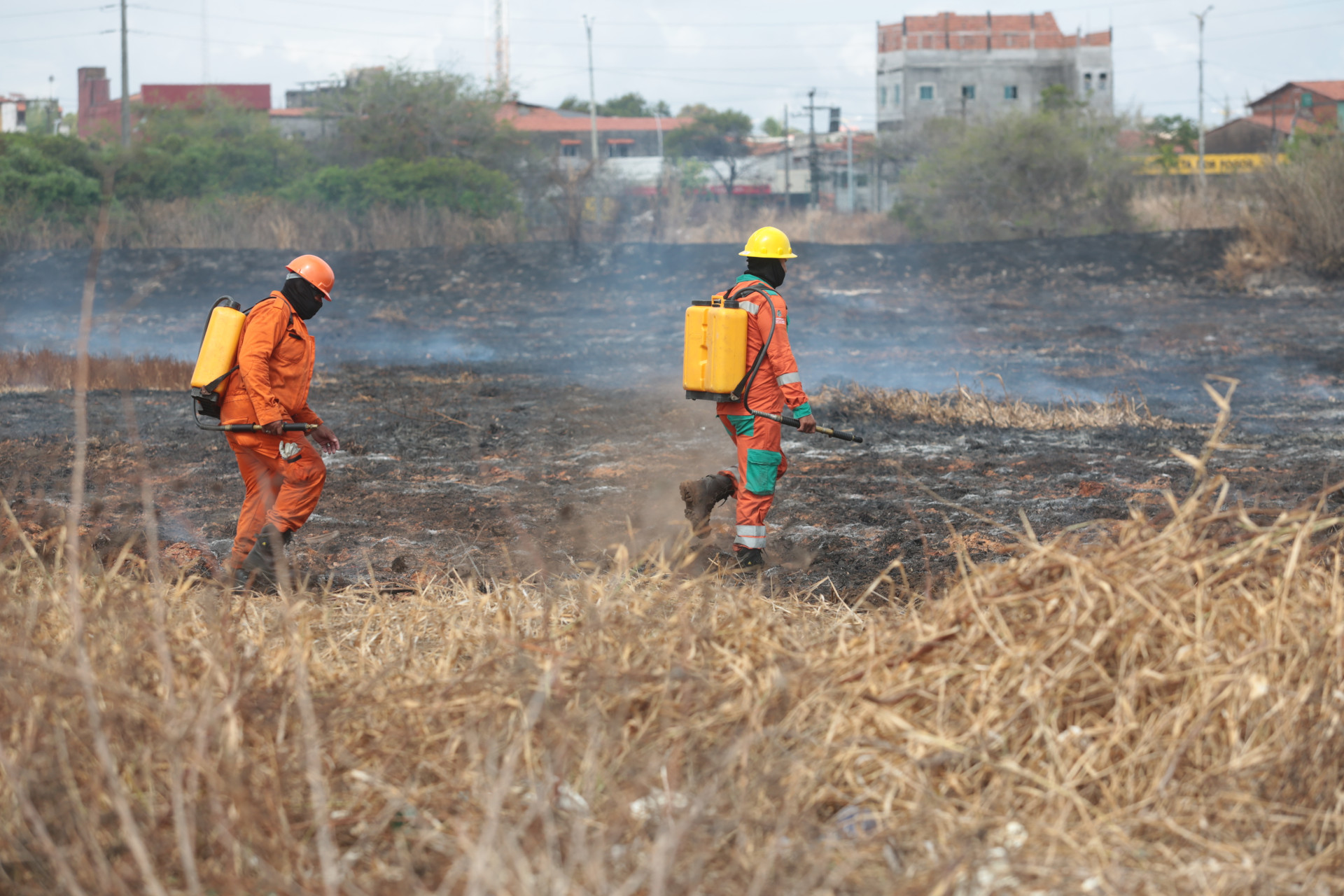 ￼ESTUDOS são realizados no local para planejar o restauro ambiental (Foto: FÁBIO LIMA)