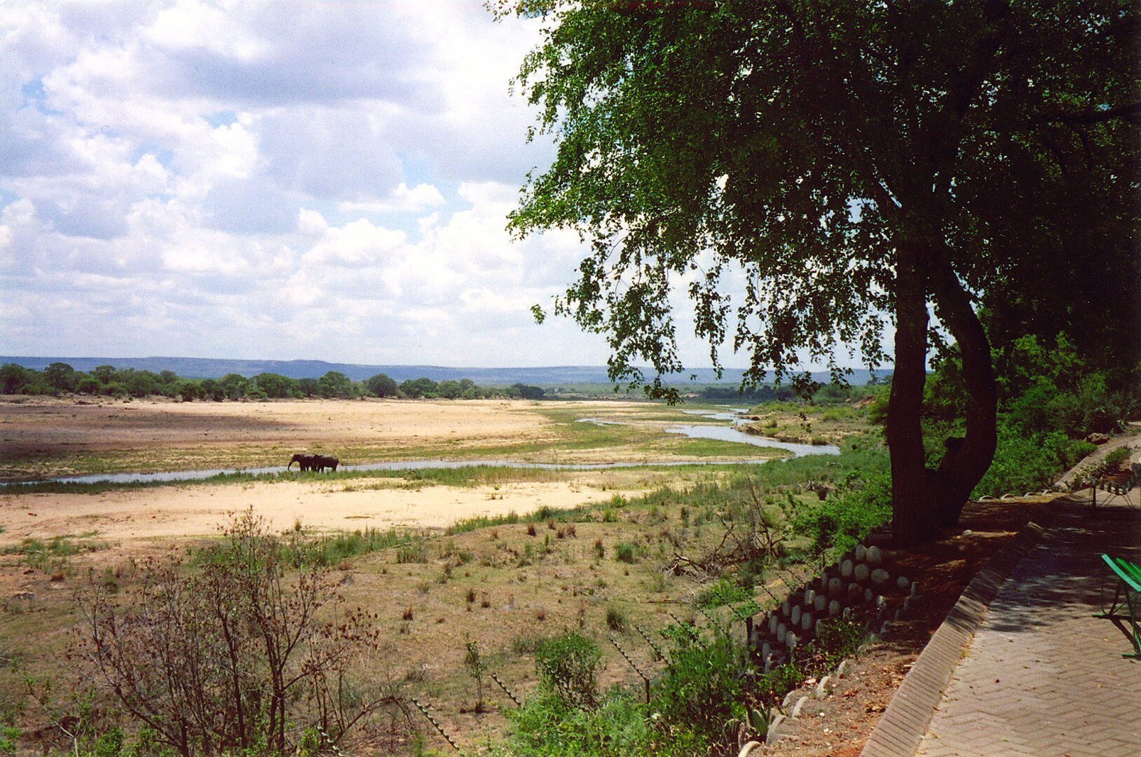 Uma reserva natural da África do Sul ganhou uma atração que chama atenção pela criatividade e pela capacidade de aproveitar algo que estava supostamente perdido.