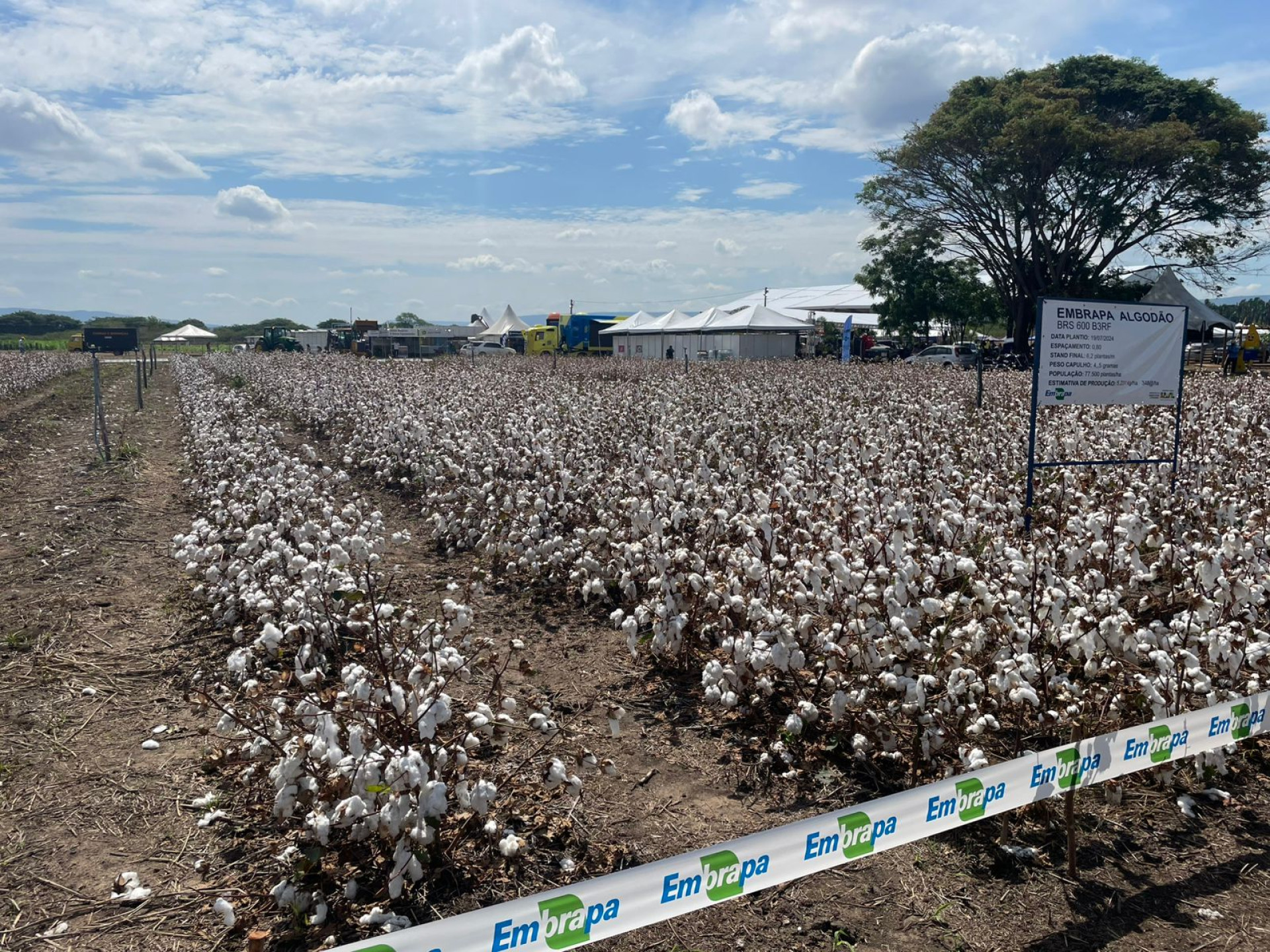 Campo experimental do 