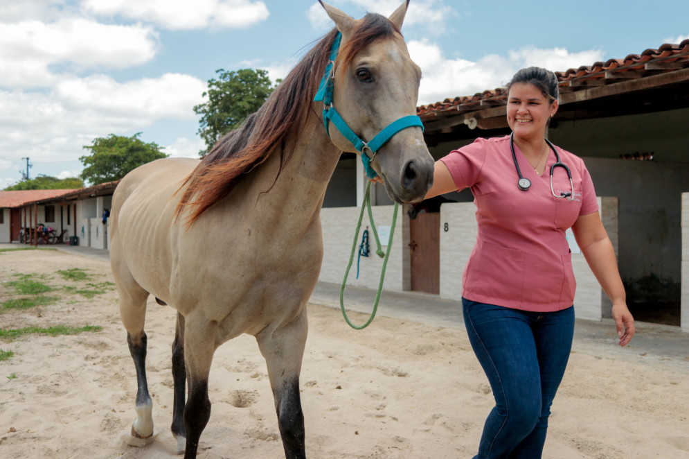 Hospital de Equinos, com a Dra. Joilde Gadelha, que é médica veterinária especialista em cavalos no Aquiraz(Foto: Samuel Setubal)