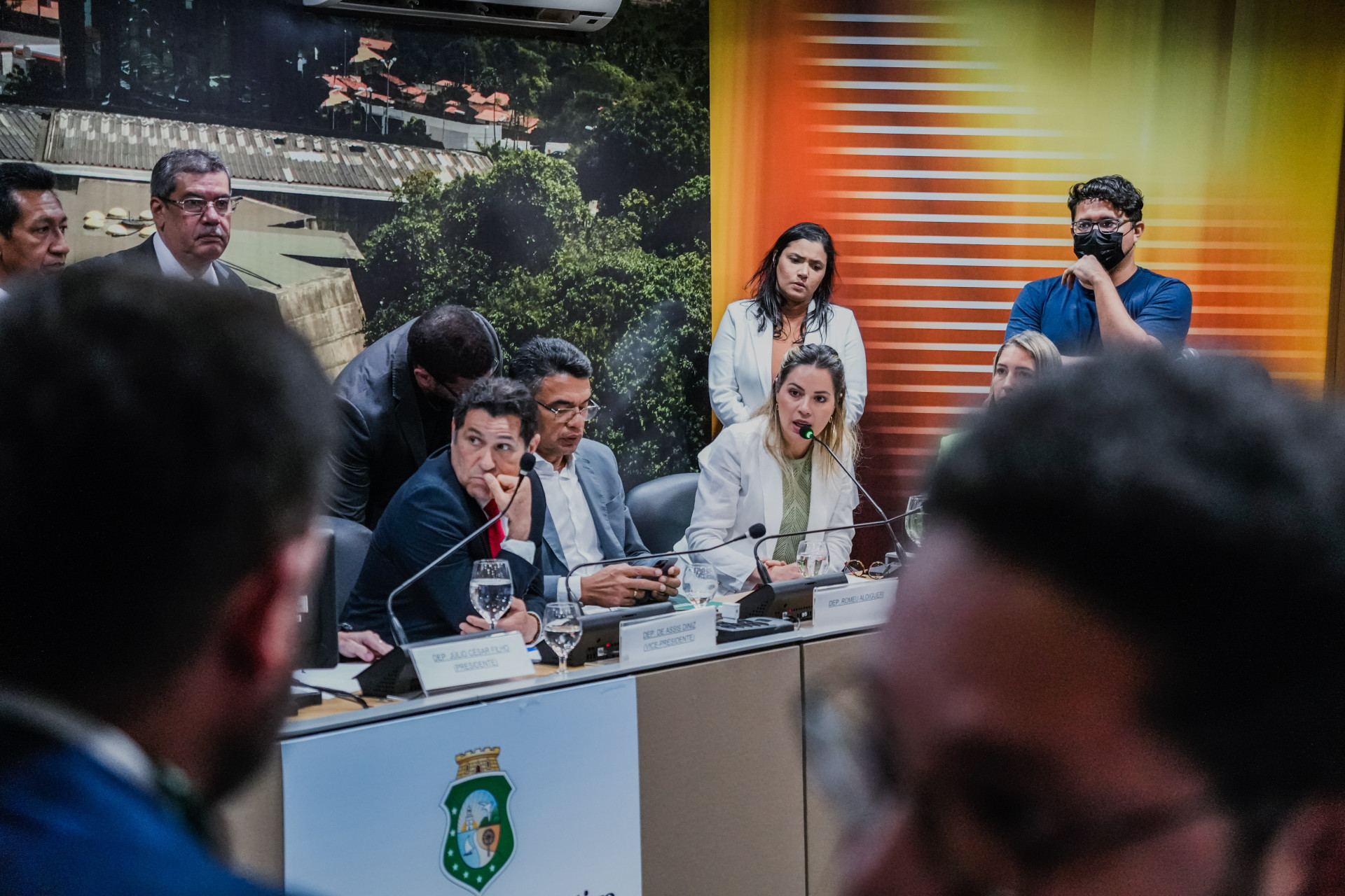 Onélia Santana durante sabatina na CCJ da Assembleia Legislativa (Foto: FERNANDA BARROS)