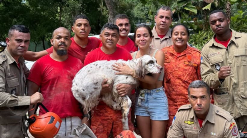 O cachorro de Anitta, Charlie, foi resgatado nesta quarta-feira, 25