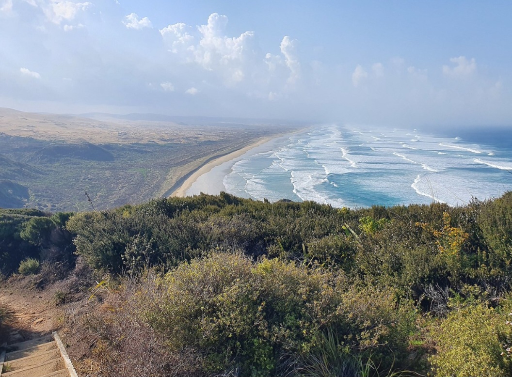 O Brasil está no topo da lista dos que possuem as maiores praias do mundo em extensão territorial. Conheça a Praia do Cassino e veja quais outras compõem esse ranking. As maiores praias do mundo, em diversos continenes.  