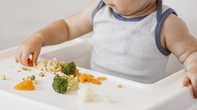 Na introdução alimentar, cada família deve optar pelo método que se encaixa ao contexto e à rotina da casa, sempre com a orientação do pediatra 