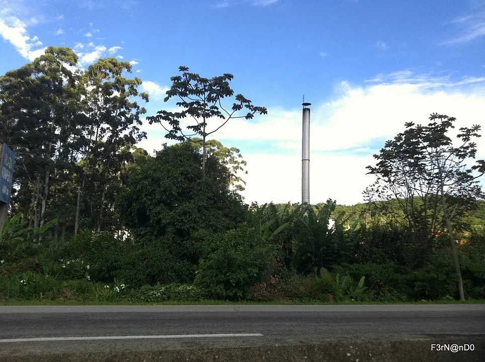 O dono de uma plantação em Itapema  - cidade catarinense a 67 km da capital Florianópolis - viralizou com sua mensagem bem humorada para um ladrão de bananas. 