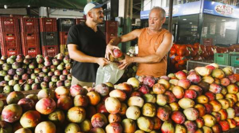 A manga Tommy, por exemplo, está sendo comercializada por R$ 2,5/kg