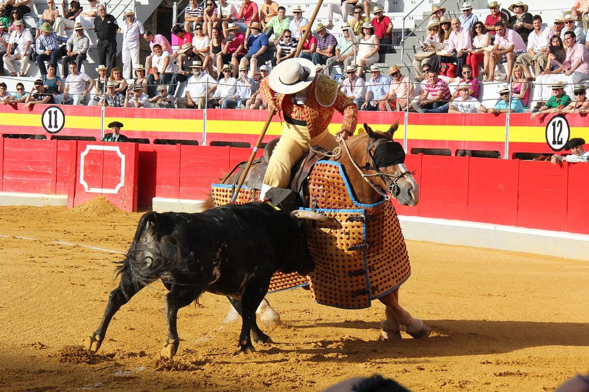 Hoje restrita a poucos países, casos de Espanha e Portugal, as touradas foram promovidas no Brasil até o início do século 20, em especial no Rio de Janeiro. A então capital do país abrigava duelos entre touros e toureiros em arenas espalhadas pela cidade. 
