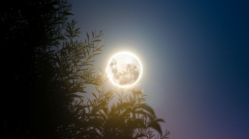 Eclipse de março marca início dos fenômenos astronômicos de 2025; confira
