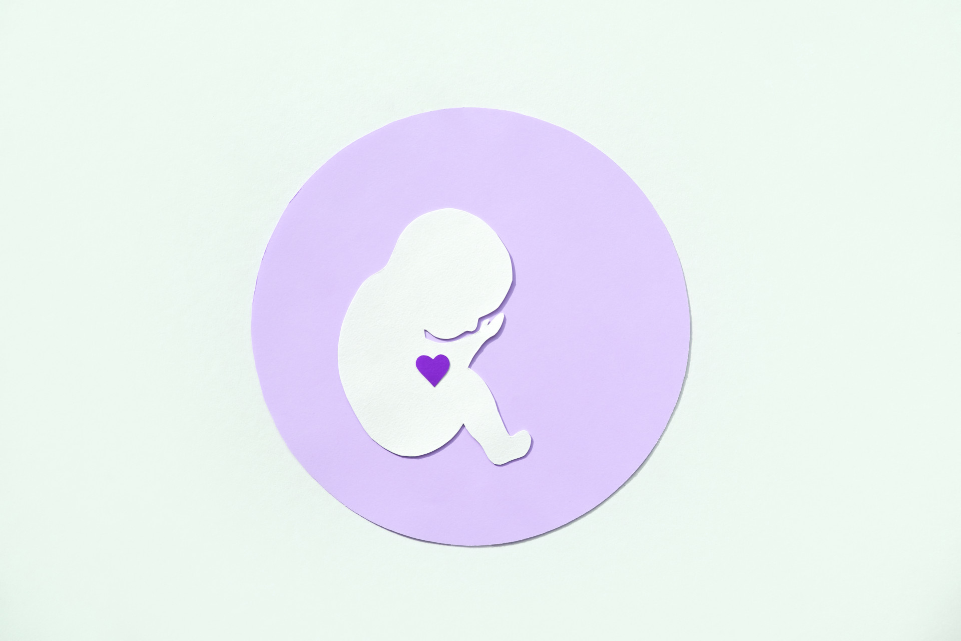 Paper silhouette of a human embryo with a heart in a purple circle on a white background. Flat lay, place for text. (Foto: ADOBE STOCK)