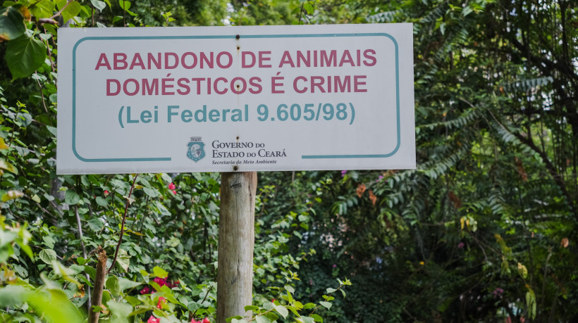 FORTALEZA-CE, BRASIL, 09-01-2025: Políticas públicas para proteção animal. Fotos ilustrativas de animais no Parque do Cocó. (Foto: Fernanda Barros/ O Povo)