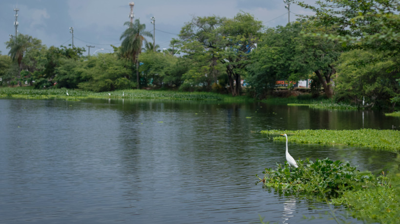 FORTALEZA, CEARÁ,  BRASIL- 17.01.2025: Lagoa da Maraponga sem manuntenção, abandonada, com mato alto, cerca quebrada, lixo e sem iluminação. (Foto: Aurélio Alves/Jornal O POVO)