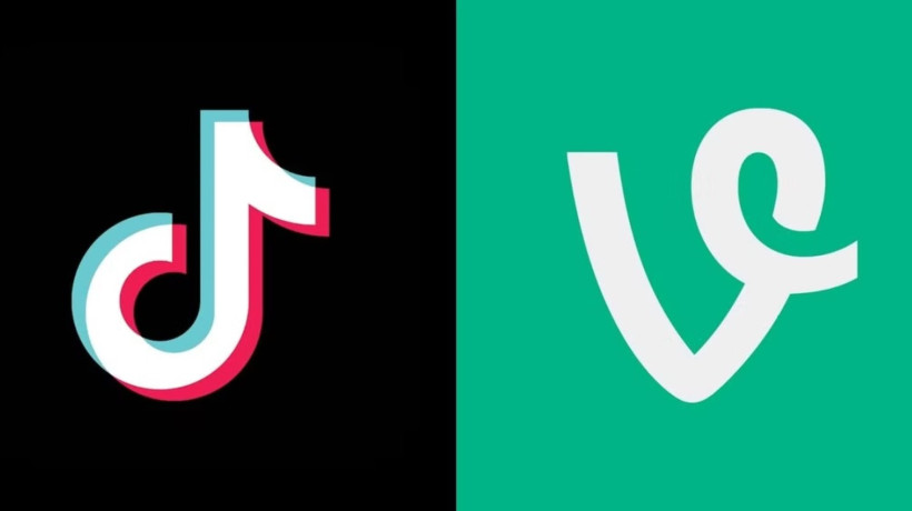 A plataforma Vine foi pioneira na popularização de conteúdo em formato de vídeo curto, influenciando o posterior sucesso do TikTok