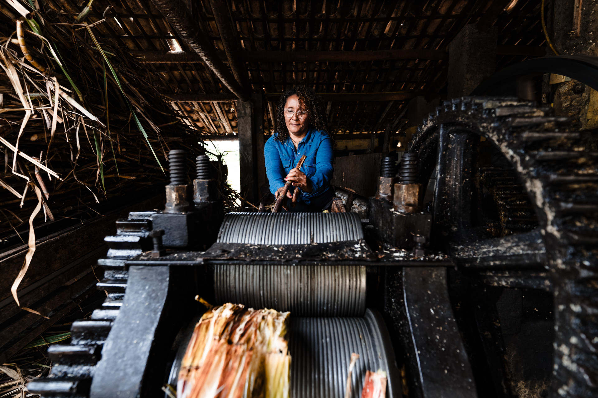 FORTALEZA-CE, BRASIL, 17-01-2025: Reportagem  especial que contém análise do impacto das cooperativas agropecuárias no desenvolvimento rural do Estado. A personagem agricultora chamada Meire, ela planta Cana e produz rapadura. O engenho fica situado na Zona Rural de Pindoretama e se chama Sítio Marinho. (Foto: Júlio Caesar/O Povo)  (Foto: JULIO CAESAR)