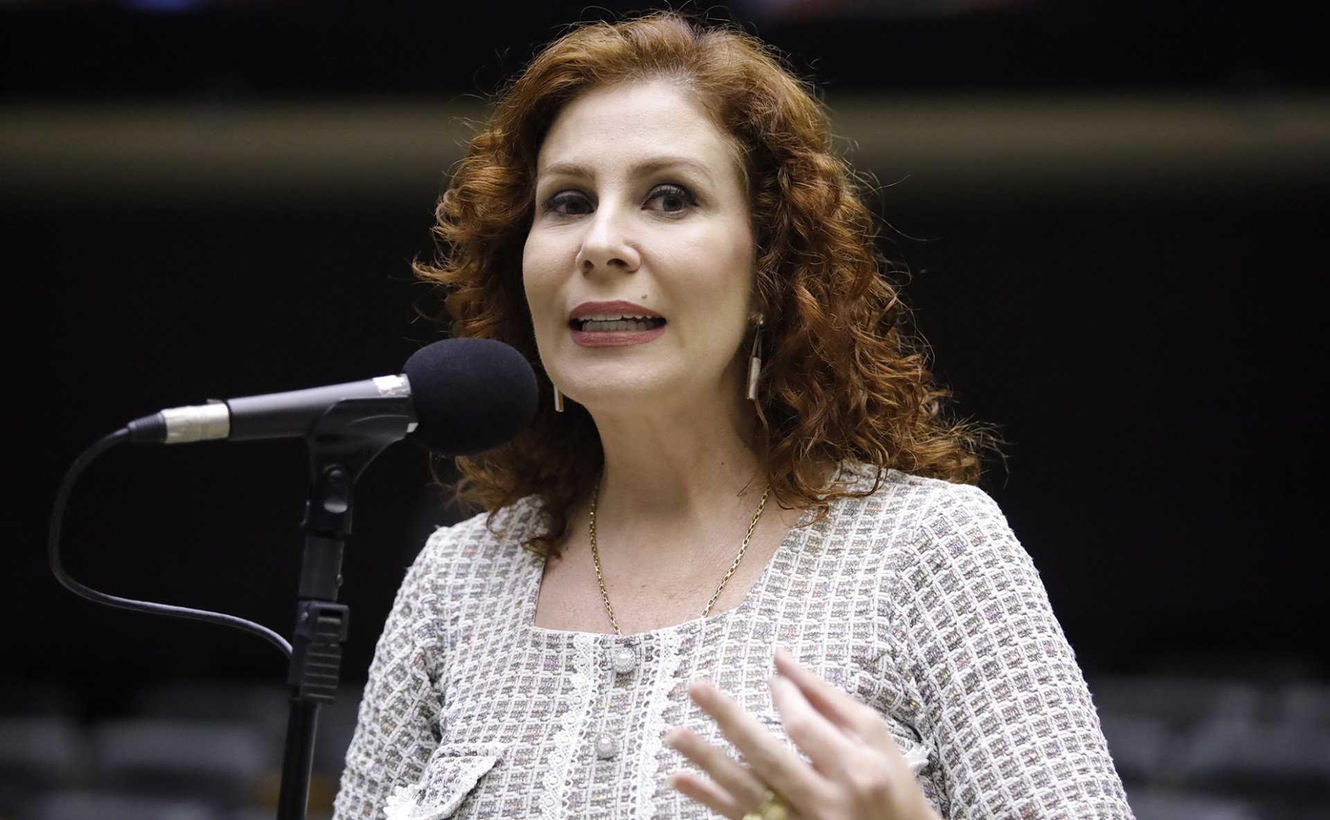 ￼CARLA Zambelli era deputada pelo PL  de São Paulo (Foto: Mário Agra/Câmara dos Deputados)