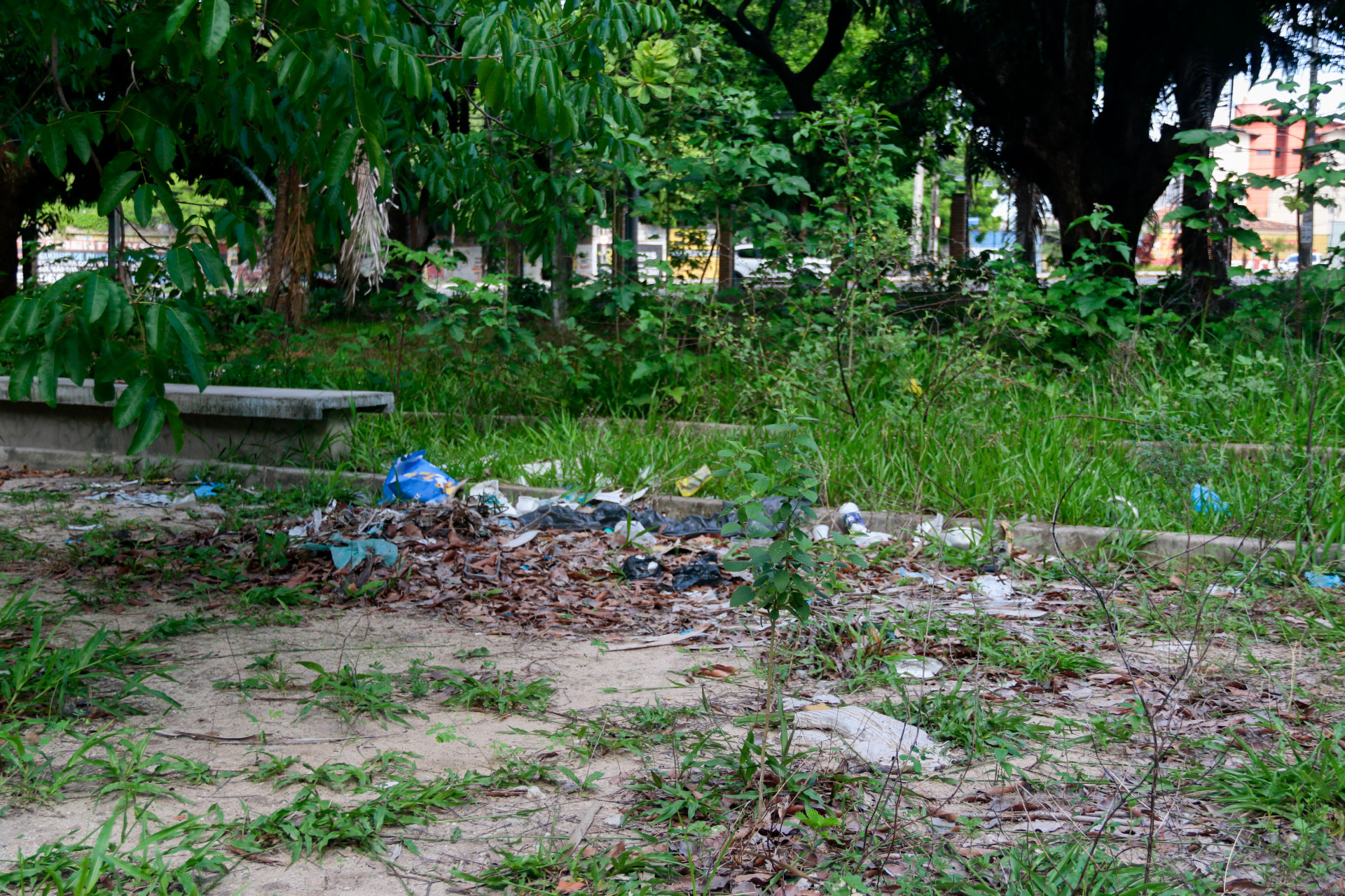  Moradores denunciam abandono de animais e demora na revitalização da Lagoa da Maraponga (Foto: Lorena Louise/Especial para O POVO)