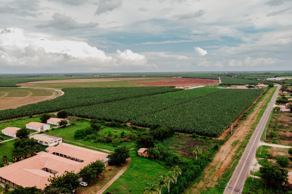 A Escola Agrícola Padre Lino Gottardi fica cerca por fazendas de diferentes culturas. A principal delas é a banana(Foto: JÚLIO CAESAR)