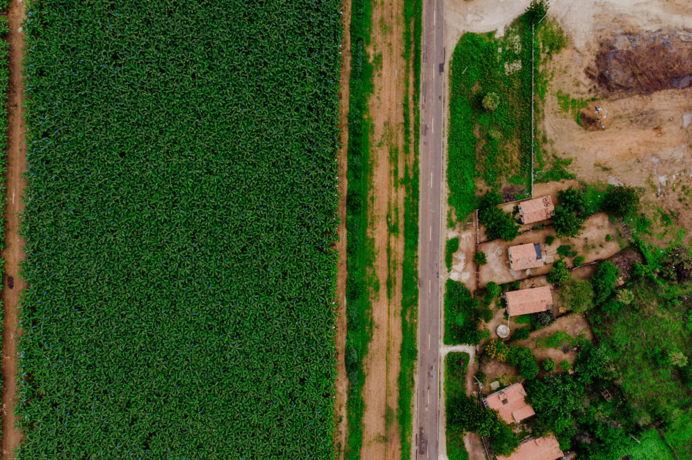 O cheiro de veneno é forte na região e mistura-se com o frescor da terra molhada, que facilmente se dispersa pelo ar. As plantações ficam bastante próximas das residências e até de escolas(Foto: JÚLIO CAESAR)