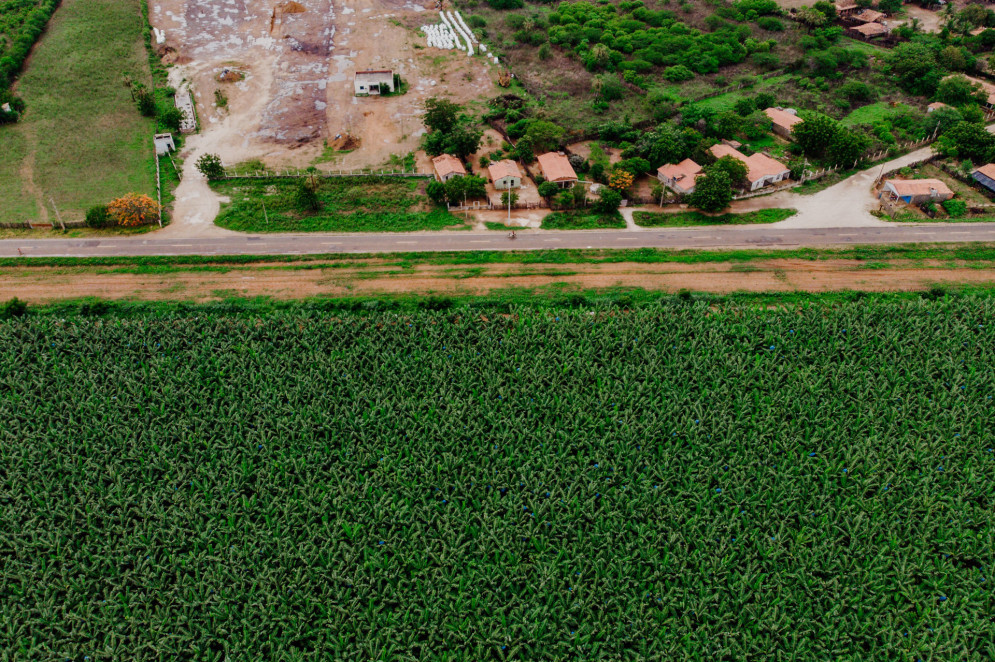 Limoeiro do Norte é terra de Zé Maria do Tomé, agricultor e líder comunitário na região da Chapada do Apodi que lutava contra a pulverização aérea de agrotóxicos e foi assassinado em 2010. No fim de 2018, após quatro anos de tramitação, foi aprovada a Lei n° 16.820/19, mais conhecida como Lei Zé Maria do Tomé, que proibia a pulverização aérea de agrotóxicos no Ceará(Foto: JÚLIO CAESAR)