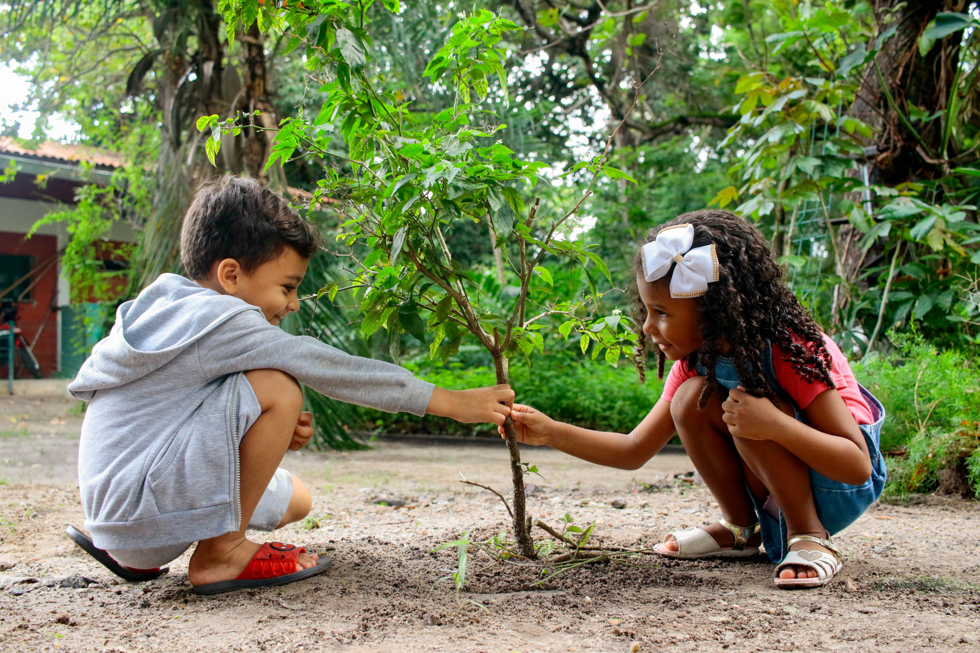 ￼FIÉIS plantaram oito mudas de árvores nativas no Parque Adahil Barreto durante celebração do Tu Bishvat (Foto: Samuel Setubal)