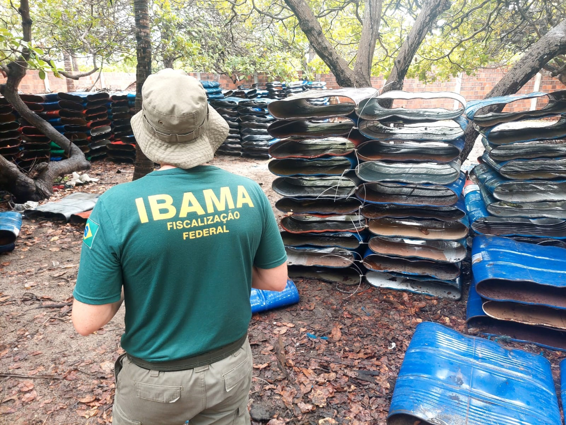 A apreensão é considerada a maior da história do País (Foto: Ibama/ Divulgação)