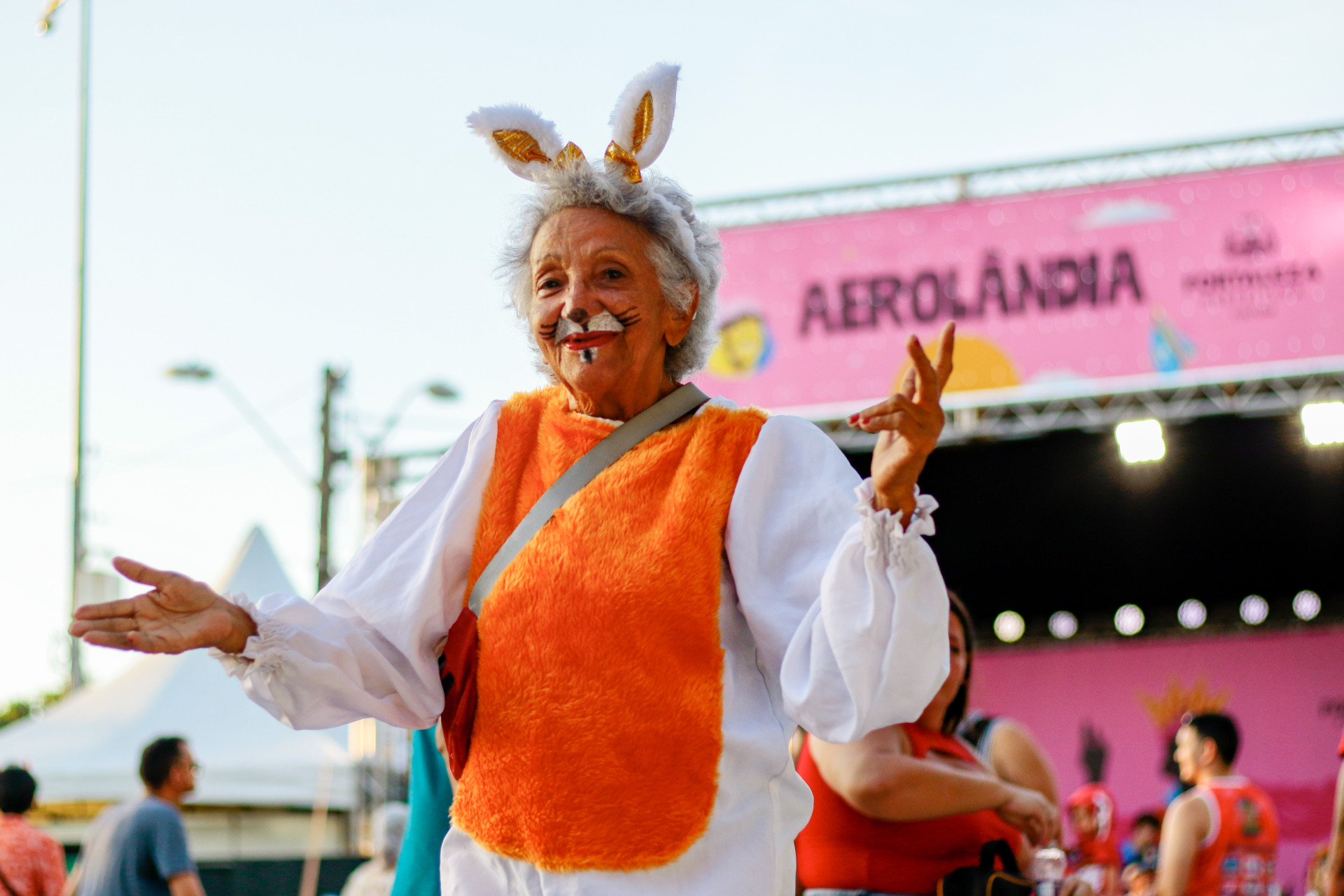 ￼FRANCISCA Miriam da Silva participa das festas sempre fantasiada (Foto: Samuel Setubal)