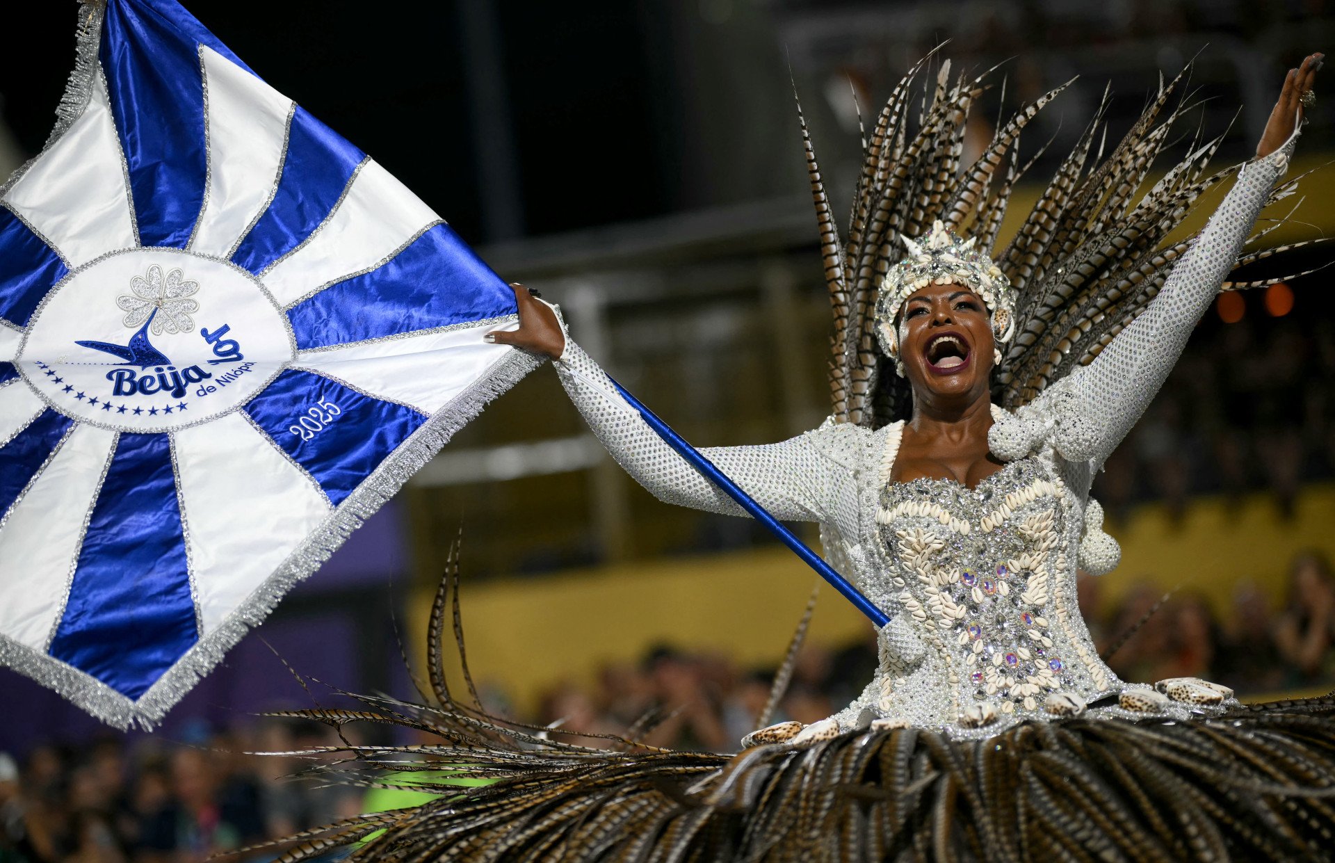 A Beija-Flor de Nilópolis foi a grande campeã do Carnaval do Rio de Janeiro de 2025. Confira os resultados das escolas de samba na folia carioca (Foto: MAURO PIMENTEL / AFP)