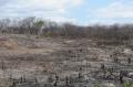 Desertificação - Iguaçu, distrito de Canindé. Terrenos expostos a queimadas em Iguaçu
