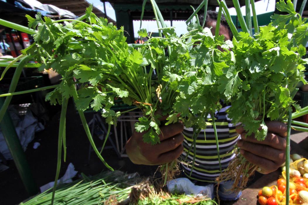 Propostas do candidatos para fortalecer a economia de Fortaleza - Centrais de Abastecimento do Ceará S.A (Ceasa/CE)
Na foto: Banca de cheiro verde, (verdura)
Foto: Edimar Soares, em 05/10/2012 (Foto: EDIMAR SOARES)