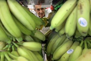 Banana foi um dos produtos considerados "vilões" para o aumento da cesta básica de fevereiro em Fortaleza