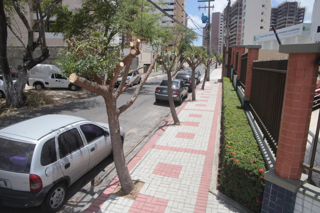 Fortaleza tem histórico de poda inadequada de árvores e desarborização urbana.(Foto: CAMILA DE ALMEIDA)