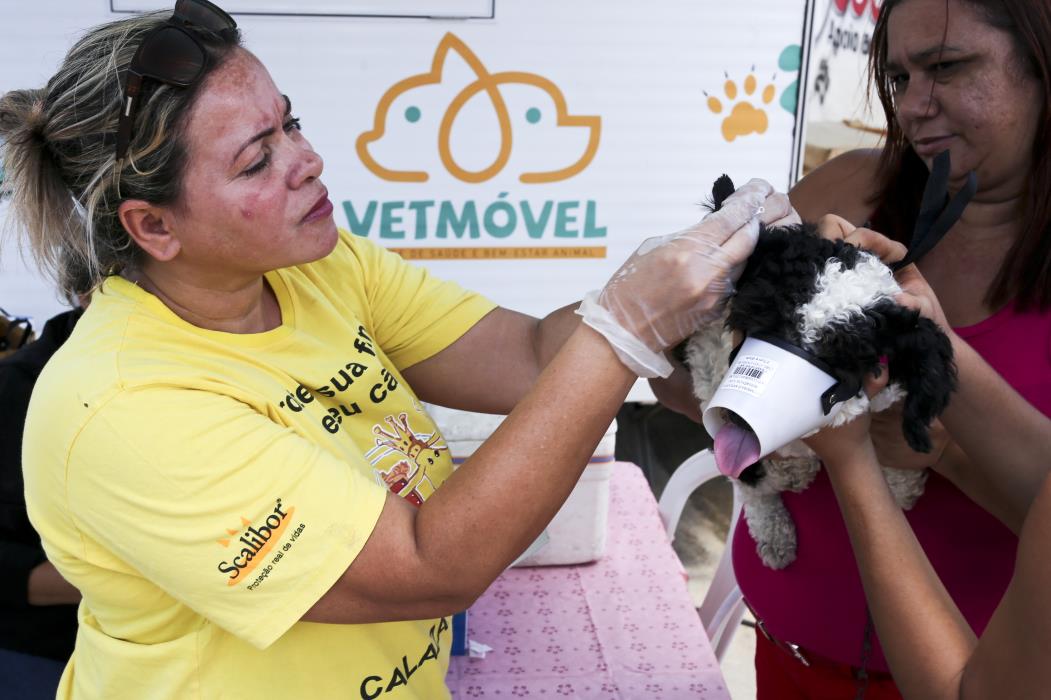 Em 2016, a prefeitura de Fortaleza inaugurou o Vet Móvel para atendimentos gratuitos a animais em bairros populares(Foto: Camila De Almeida / Especial O POVO 2016)