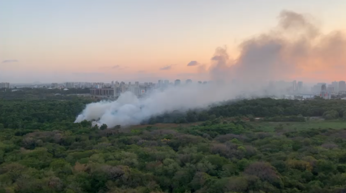 Um dos registros do incêndio mostra cortina de fumaça cobrindo parte da vegetação do parque. 